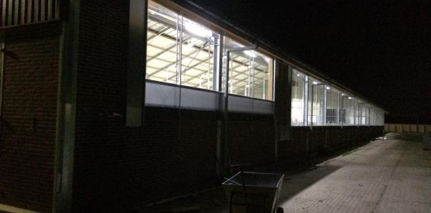 Nieuwbouw ligboxenstal te Zetten